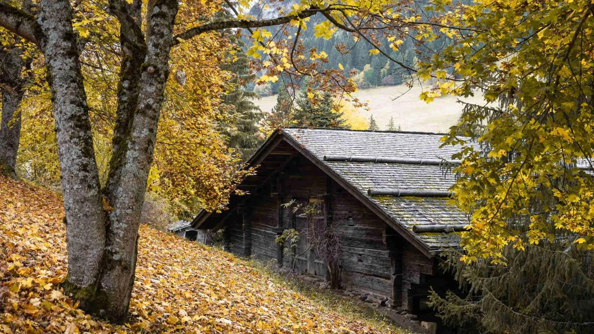 Chalet 3*, Ferme Renovee, 10 Pers, Proche Pistes, Garage, Animaux Admis - Fr-1-304-162 La Clusaz